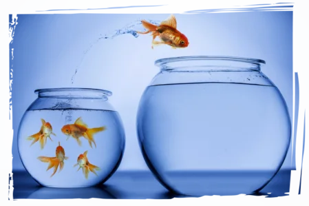 Mutig ins Neue – dein Sprung in die Veränderung Ein Goldfisch springt mutig aus einem kleinen in ein grösseres Glas – Symbol für persönliche Entwicklung und neue Perspektiven